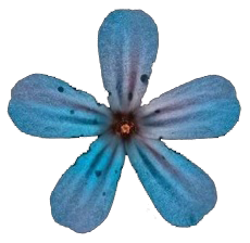 PULSarts Logo