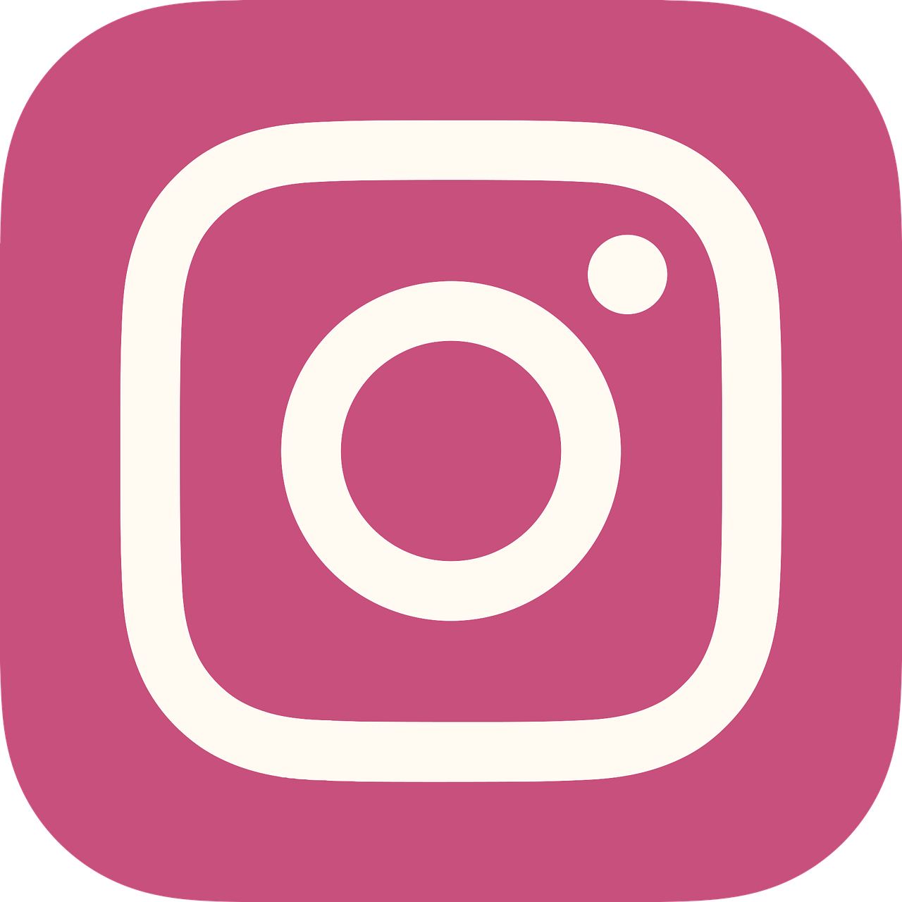 Instagram Icon